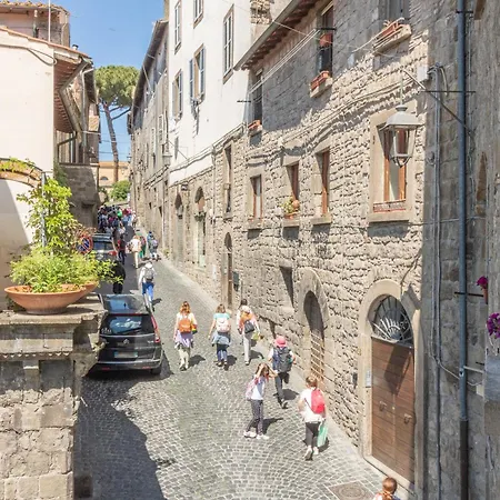 Domus Centro