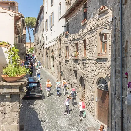 Domus Centro
