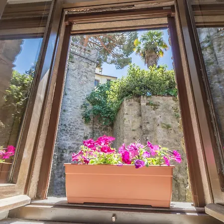 Domus Centro