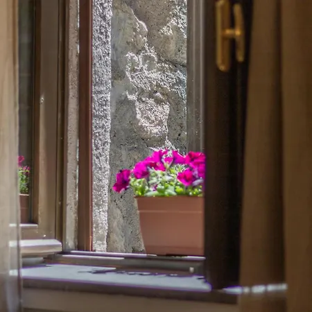 Domus Centro Apartment Viterbo