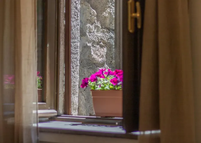 Domus Centro Apartmán Viterbo